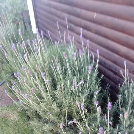 Coco De Mer Self Catering Log 1 Ламбертс-Бей Экстерьер фото