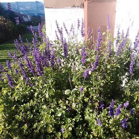 Coco De Mer Self Catering Log 1 Ламбертс-Бей Экстерьер фото